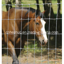 Cercado de seguridad revestido galvanizado y del PVC para el parque zoológico